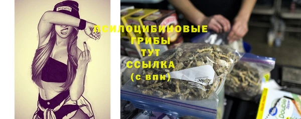 ALPHA-PVP Армянск
