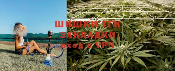 apvp Аркадак
