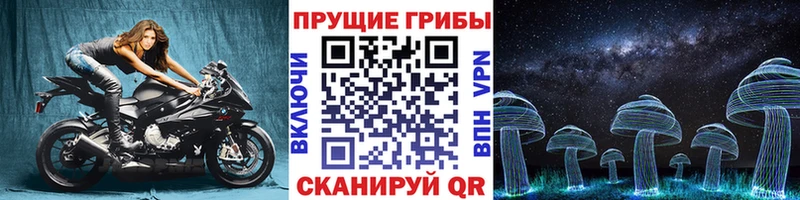 нарко площадка состав  блэк спрут зеркало  Городище  Псилоцибиновые грибы ЛСД 