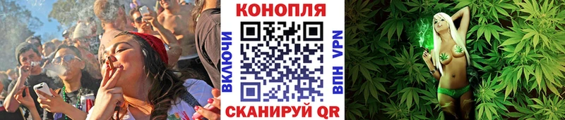 Бошки марихуана OG Kush  Городище 